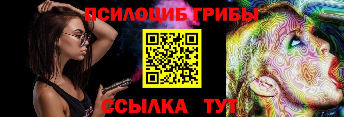 Псилоцибиновые грибы Psilocybe Истра