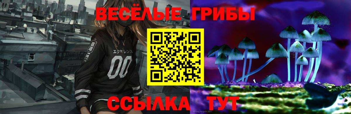 Псилоцибиновые грибы GOLDEN TEACHER  Вход с VPN  Псилоцибиновые грибы MAGIC MUSHROOMS  Истра 